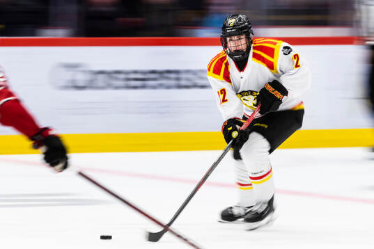 Brynäs Leo Sundqvist