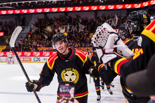 Bläddra bland fler bilder av Ishockey, SHL, Brynäs - Frölunda
