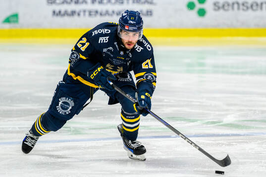 Södertäljes Nolan Stevens
