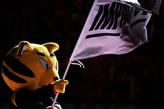 Brynäs maskot Brynästigern med en flagga för Impact By