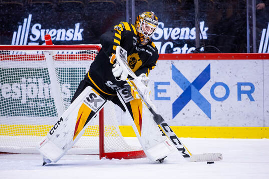 Skellefteås målvakt Linus Söderström