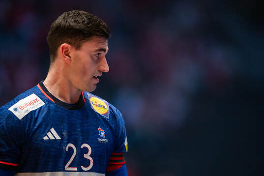 Ludovic Fabregas of France