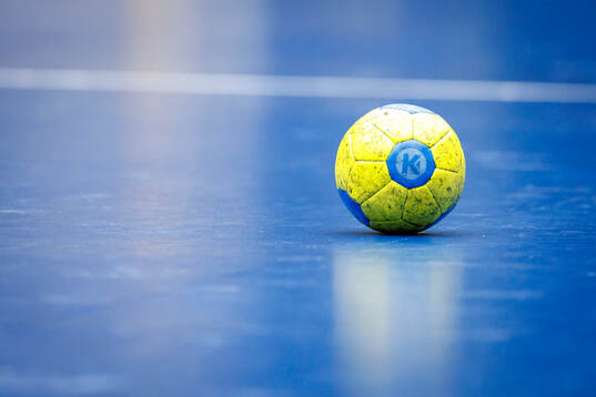 En handboll