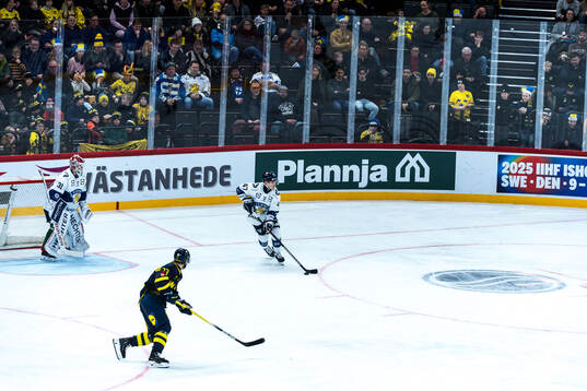 Players of Sweden and Finland