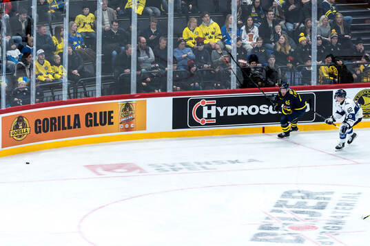 Players of Sweden and Finland
