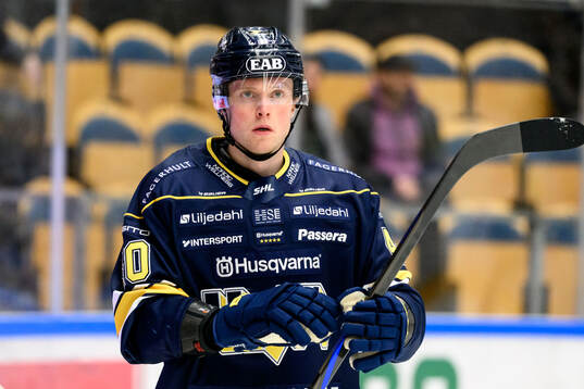 HV71s Oskar Stål-Lyrenäs