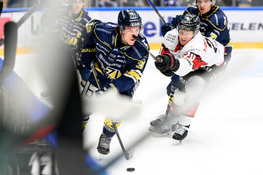 HV71s Jamiro Reber och Malmö Redhawks Thomas Berg Paulsen