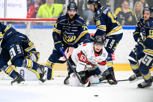 HV71s Sean Day och Malmö Redhawks Fredrik Händemark