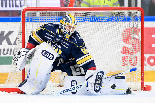 HV71s målvakt Frederik Dichow