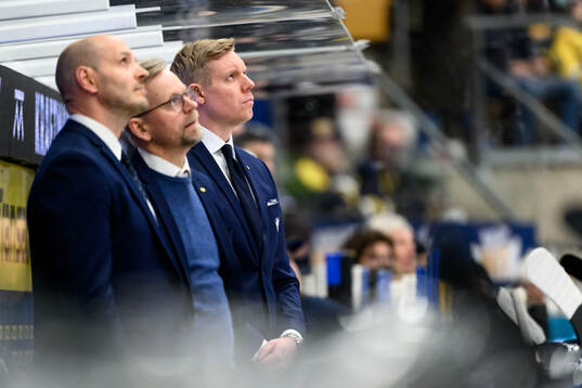 HV71s tränare Anton Blomqvist