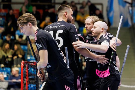 Faluns spelare jublar