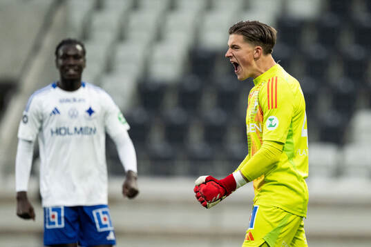 IFK Norrköpings målvakt David Andersson jublar