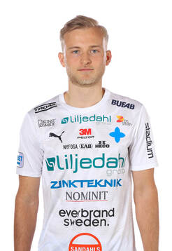 Värnamos Johan Rapp