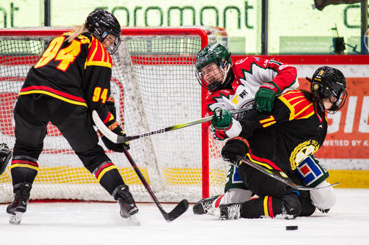 Frölundas Emilia Vesa och Brynäs Maude Poulin-Labelle