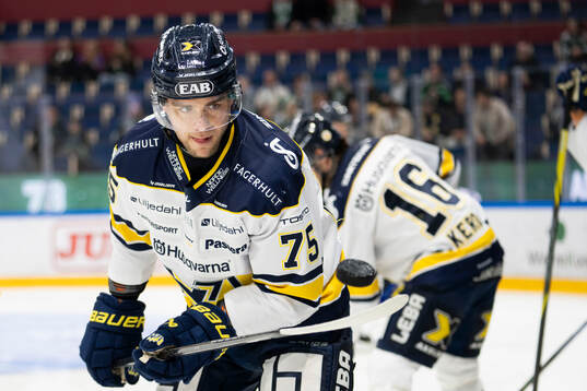 HV71s Radan Lenc