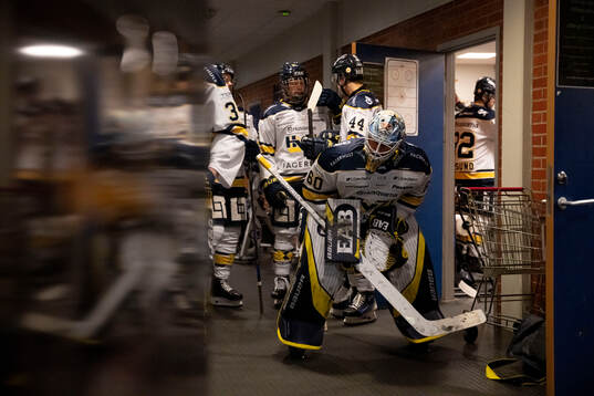 HV71s målvakt Hugo Alnefelt
