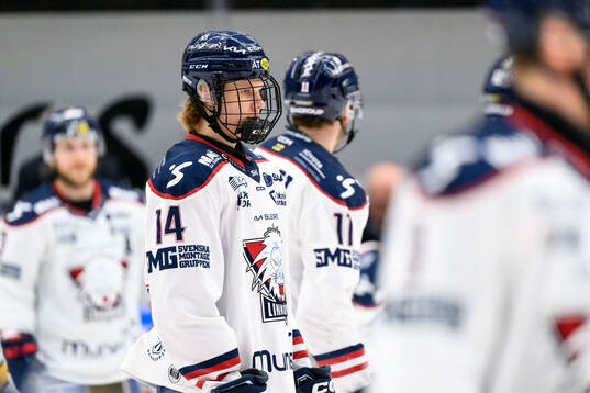 Linköpings Eddie Genborg