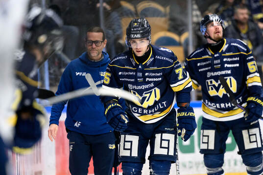 HV71s Radan Lenc