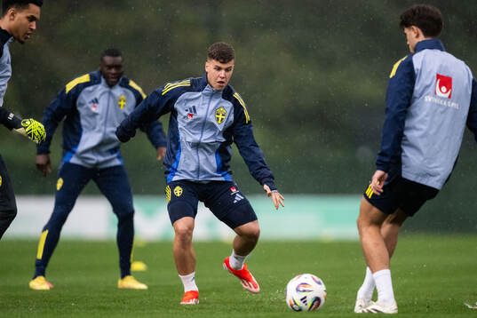 Samuel Dahl of the Swedish men's national football team