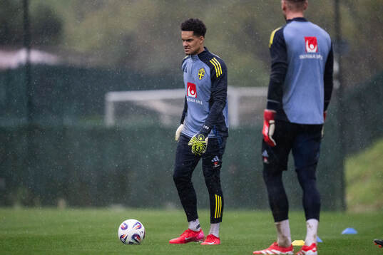 Goalkeeper Oliver Dovin of the Swedish men's national