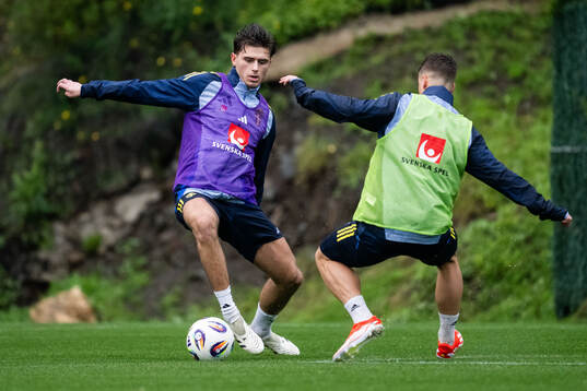 Besfort Zeneli of the Swedish men's national football team