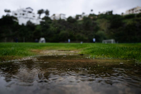 Rain