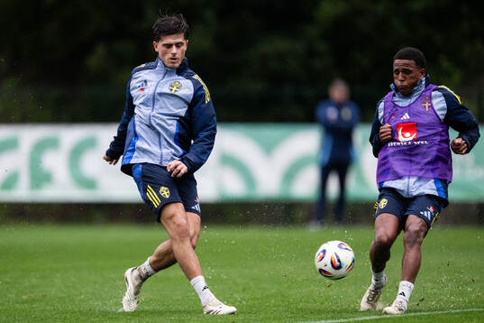 Besfort Zeneli and Niclas Eliasson of the Swedish men's