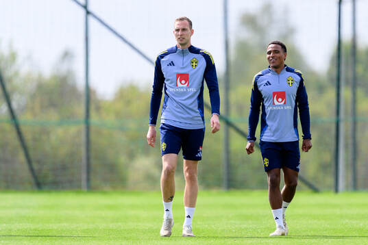 Gustaf Nilsson and Niclas Eliasson of the Swedish men's