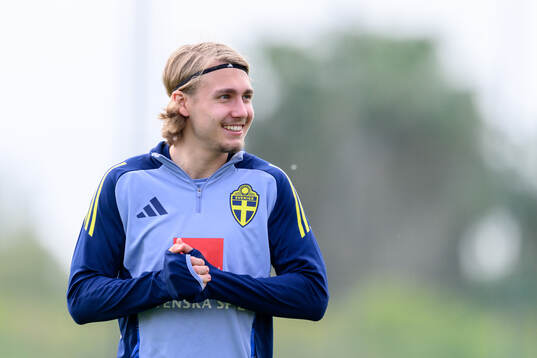 Sebastian Nanasi of the Swedish men's national football team