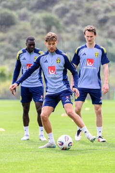 Anton Saletros of the Swedish men's national football team