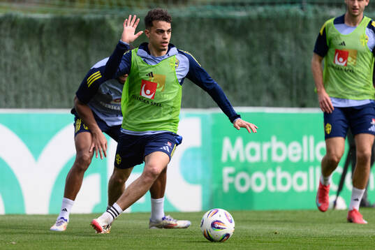Yasin Ayari of the Swedish men's national football team