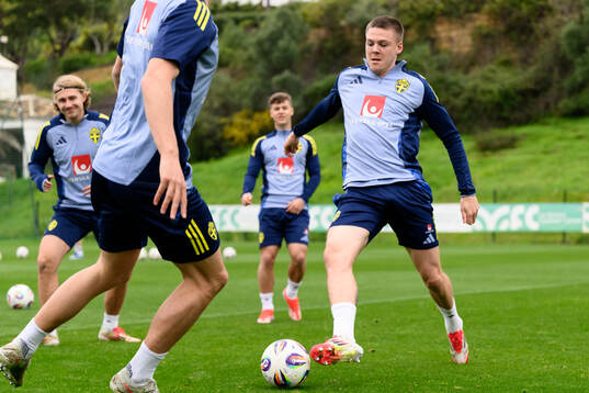 Emil Holm of the Swedish men's national football team
