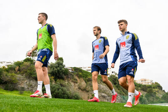 Emil Holm, Benjamin Nygren and Samuel Dahl of the Swedish