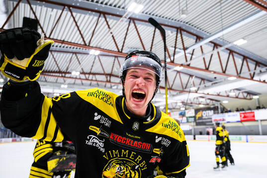 Bläddra bland fler bilder av Ishockey, Play Out, Vimmerby - Tingsryd