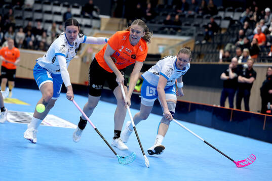 Rönbys Maja Hane