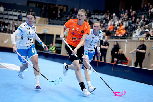 Rönbys Maja Hane