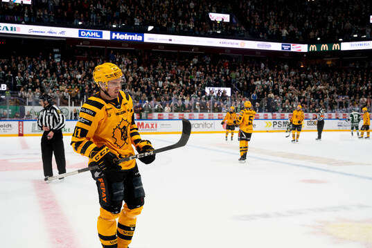 Skellefteås Max Lindholm deppar