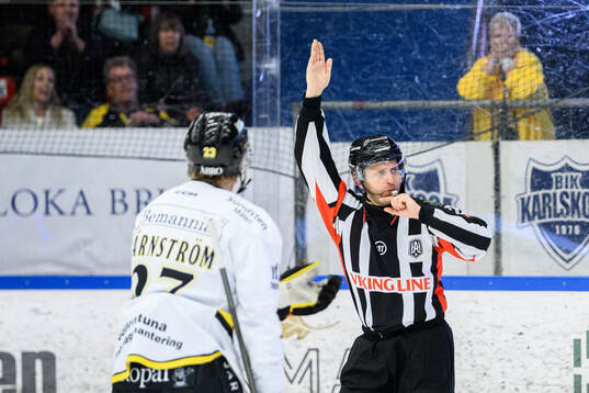 Domare Niklas Johansson