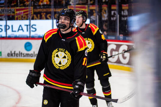 Brynäs Michal Svrcek