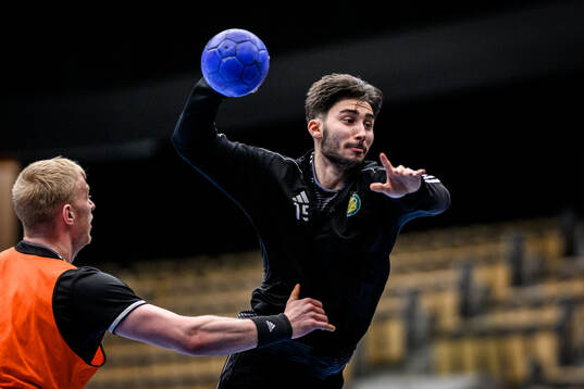 Sebastian Durlanu