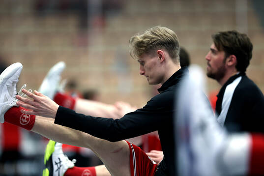 Pixbos Arvid Äse