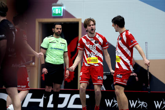 Pixbos Linus Nestorsson jublar