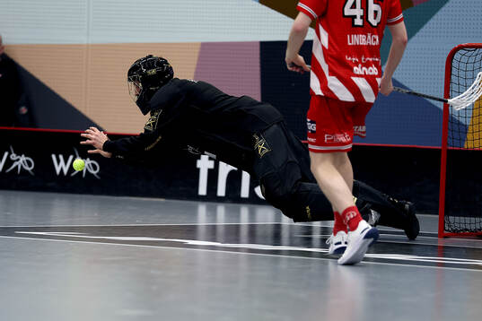Pixbos målvakt Jon Hedlund