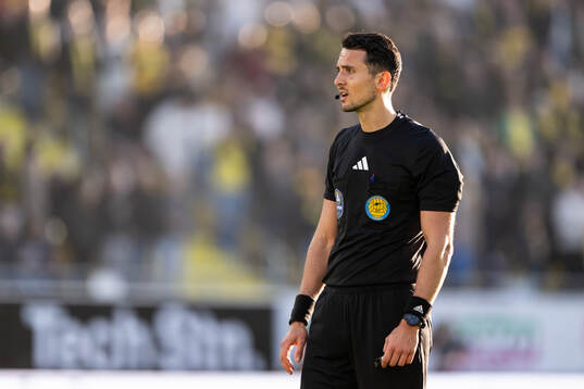 Domare Adi Aganovic