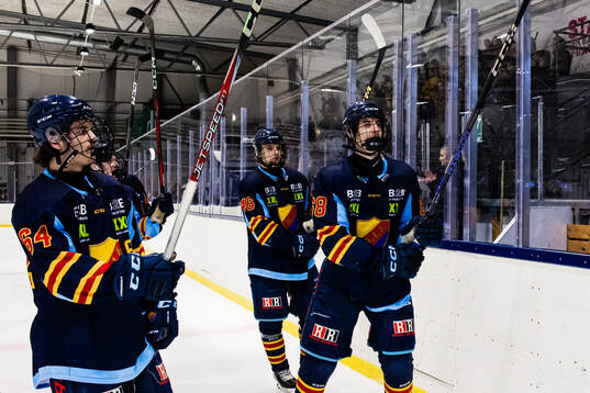Djurgårdens Bobo Tyche, Ruben Westerling och Leo Schlegel