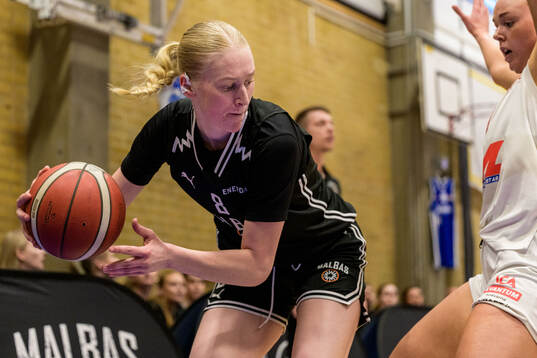 Malbas Lova Stålgard