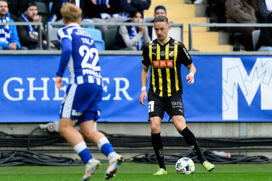Häckens Amor Layouni