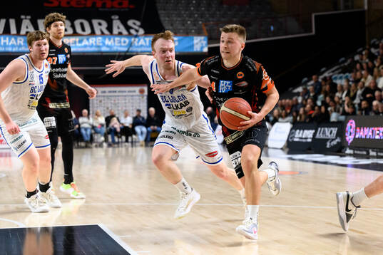 Borås Ludvig Johansson