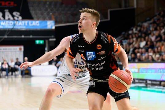 Borås Ludvig Johansson
