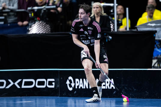 Faluns Emil Ruud